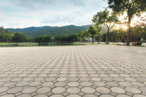 Best Interlocking Driveway Pavers  in Belle Glade, FL