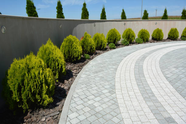 Best Local Driveway Pavers  in Belle Glade, FL